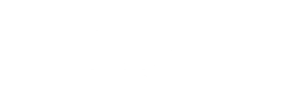 Bliss By Binny